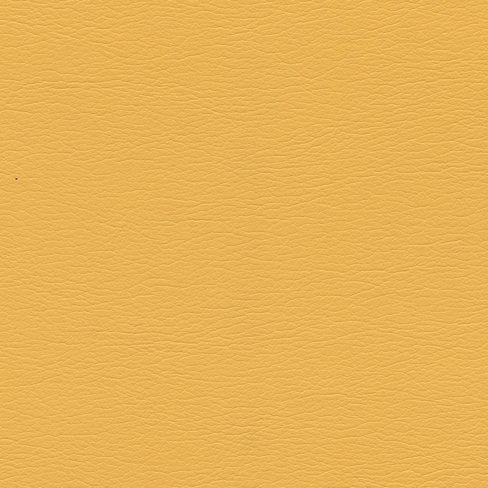 Ultrafabrics® Ultraleather® Sassy Fabric image 1 of 1
