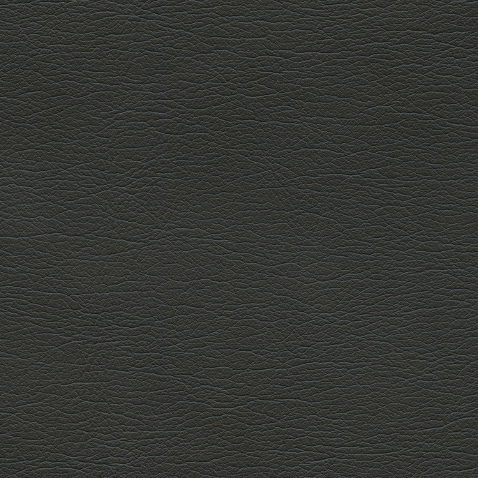 Ultrafabrics® Ultraleather® Raven Wing Fabric image 1 of 1