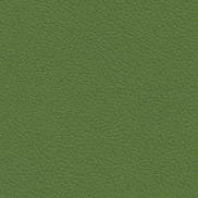 Ultrafabrics® Brisa® Apple Green Fabric
