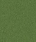 Ultrafabrics® Brisa® Apple Green Fabric