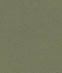 Ultrafabrics® Brisa® Sage Fabric