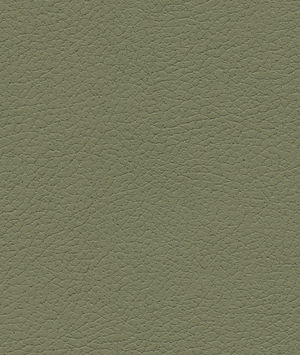 Ultrafabrics® Brisa® Sage Fabric