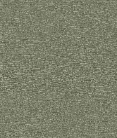 Ultrafabrics® Ultraleather® Pearlized; Beryl Green Fabric