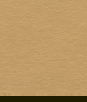 Ultrafabrics® Ultraleather® Pearlized; Golden Ore Fabric