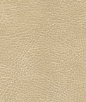 Ultrafabrics® Brisa® Distressed Chamois Fabric