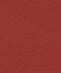 Ultrafabrics® Promessa® Dogwood Fabric