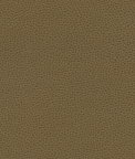 Ultrafabrics® Promessa® Fields Fabric