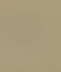 Ultrafabrics® Promessa® Barley Fabric