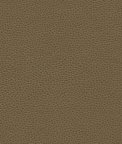 Ultrafabrics® Promessa® Woodpecker Fabric