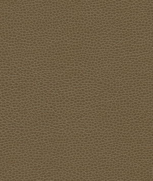 Ultrafabrics® Promessa® Woodpecker Fabric