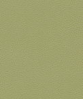 Ultrafabrics® Promessa® Old Lime Fabric