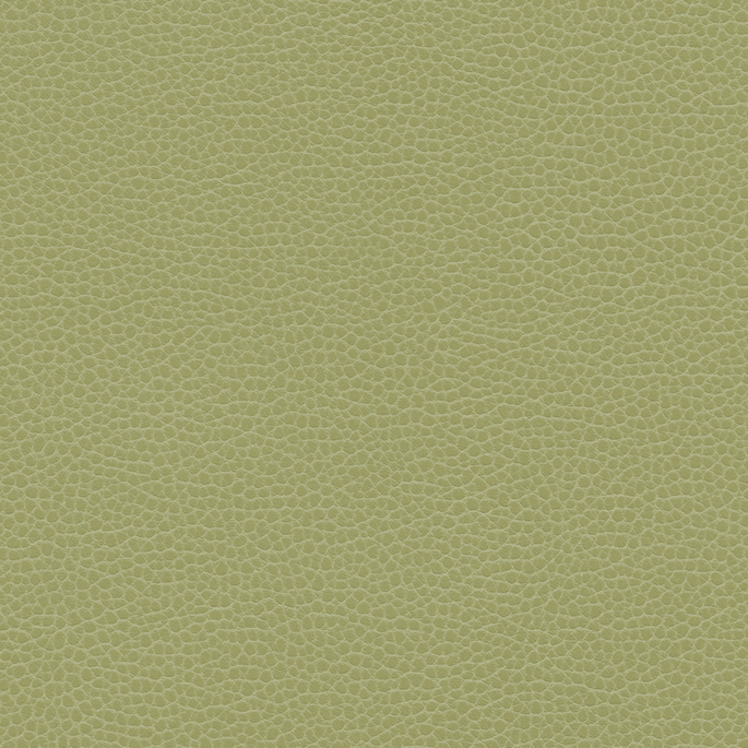 Ultrafabrics® Promessa® Old Lime Fabric image 1 of 1