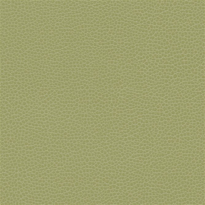 Ultrafabrics&#174; Promessa&#174; Old Lime Fabric