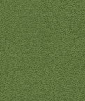 Ultrafabrics® Promessa® Olive Moss Fabric