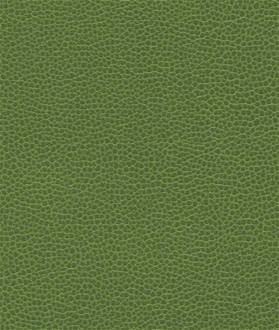 Ultrafabrics® Promessa® Olive Moss Fabric