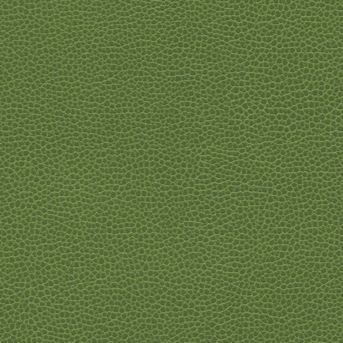 Ultrafabrics® Promessa® Olive Moss Fabric image 1 of 1