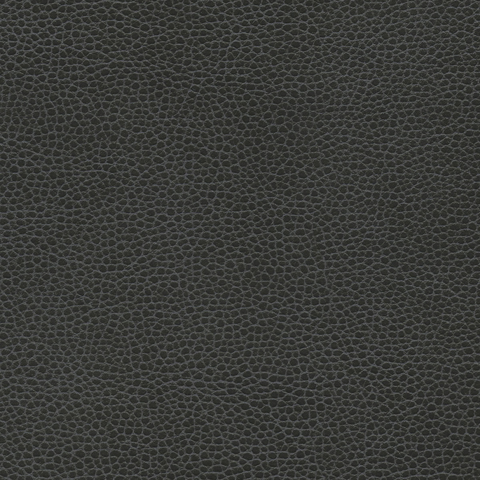 Ultrafabrics® Promessa® Battleship Fabric image 1 of 1