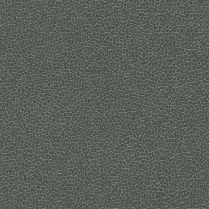 Ultrafabrics® Promessa® Shale Fabric image 1 of 1