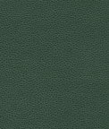 Ultrafabrics® Promessa® Aspen Green Fabric