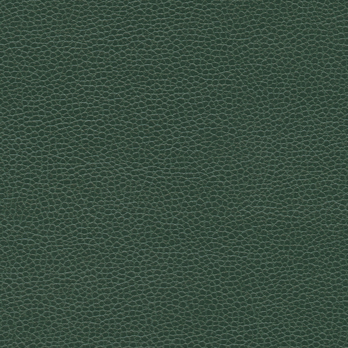 Ultrafabrics® Promessa® Aspen Green Fabric image 1 of 1