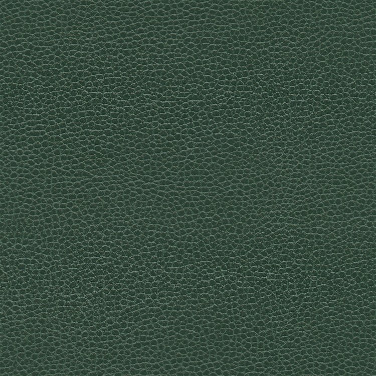 Ultrafabrics® Promessa® Aspen Green Fabric