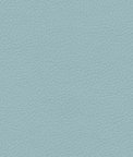 Ultrafabrics® Brisa® Forecast Glass Fabric