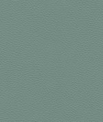 Ultrafabrics® Pumice Dusk Green