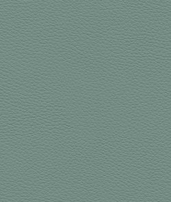 Ultrafabrics® Pumice Dusk Green