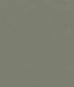 Ultrafabrics® Pumice Dusty Olive