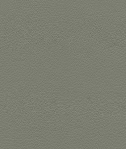 Ultrafabrics® Pumice Dusty Olive