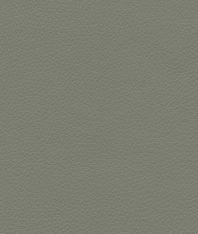Ultrafabrics® Pumice Dusty Olive Fabric