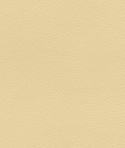 Ultrafabrics® Pumice Sun Beam Fabric