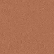 Ultrafabrics® Pumice Aztec Clay Fabric