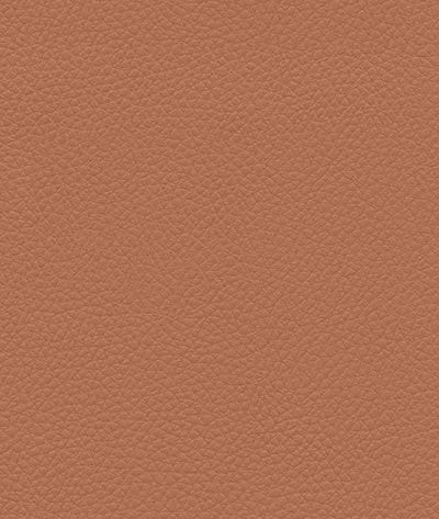 Ultrafabrics® Pumice Aztec Clay Fabric