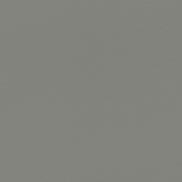 Ultrafabrics® Ultraleather® Fusion Dime Fabric