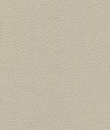 Ultrafabrics® Brisa® Bone Fabric