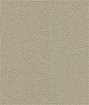 Ultrafabrics® Brisa® New Sand Fabric