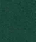 Ultrafabrics® Brisa® Seaweed Fabric