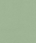 Ultrafabrics® Brisa® Honeydew Fabric