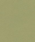 Ultrafabrics® Brisa® Celery Fabric