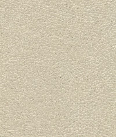 Ultrafabrics® Brisa® Distressed Navajo Ivory Fabric