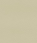 Ultrafabrics® Ultraleather® Tottori Udon Fabric