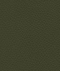 Ultrafabrics® Ultraleather® Tottori Lichen Fabric