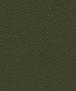 Ultrafabrics® Ultraleather® Tottori Lichen Fabric