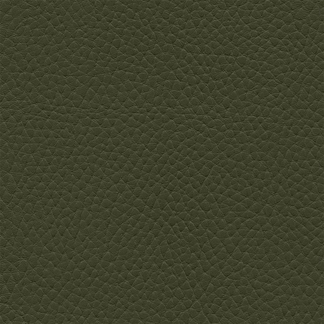 Ultrafabrics&#174; Ultraleather&#174; Tottori Lichen Fabric