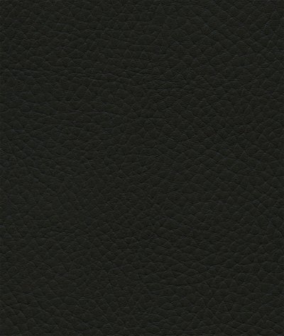 Ultrafabrics® Ultraleather® Tottori Black Sesame Fabric