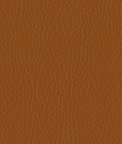 Ultrafabrics® Ultraleather® Tottori Amber Gold Fabric