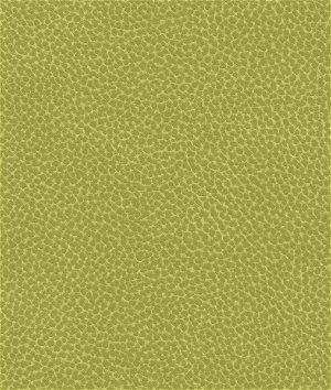 Ultrafabrics® Reef Pro Seagrass Fabric