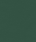 Ultrafabrics® Volar Bio Spinach Fabric