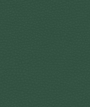 Ultrafabrics® Volar Bio Spinach Fabric